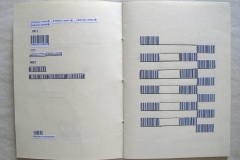 Notas-de-rodape-2_Lidice-Salgot