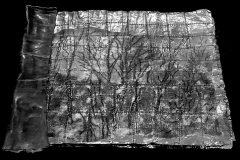 004-_1-Capa