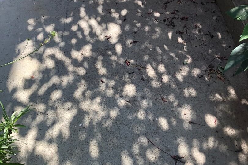 IMG-0283