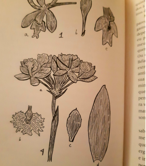 Captura de Tela 2020-07-30 às 07.44.22