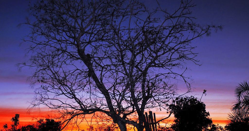 Imagem_História_Simone