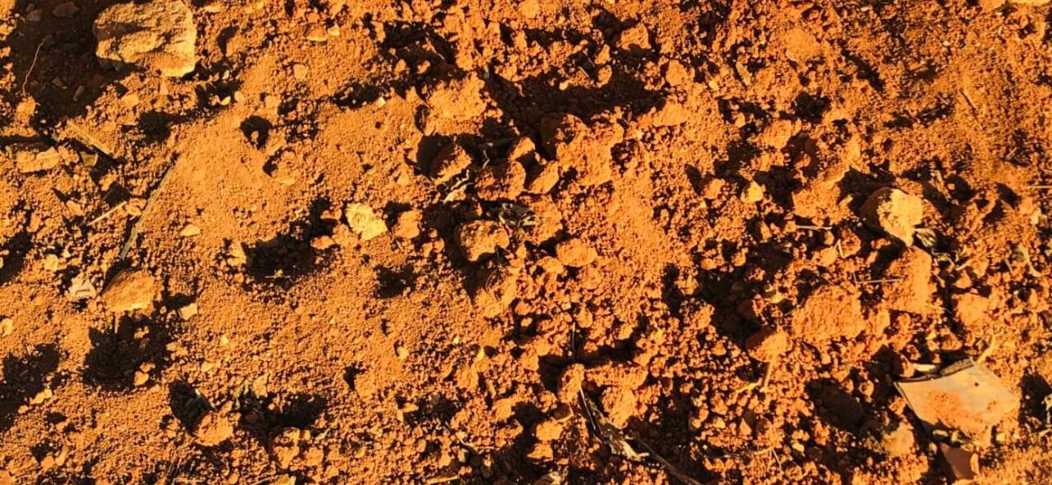 WhatsApp Image 2020-07-21 at 15.07.23