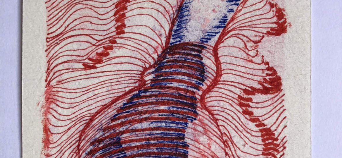 115 dias_lucimar bello (1)