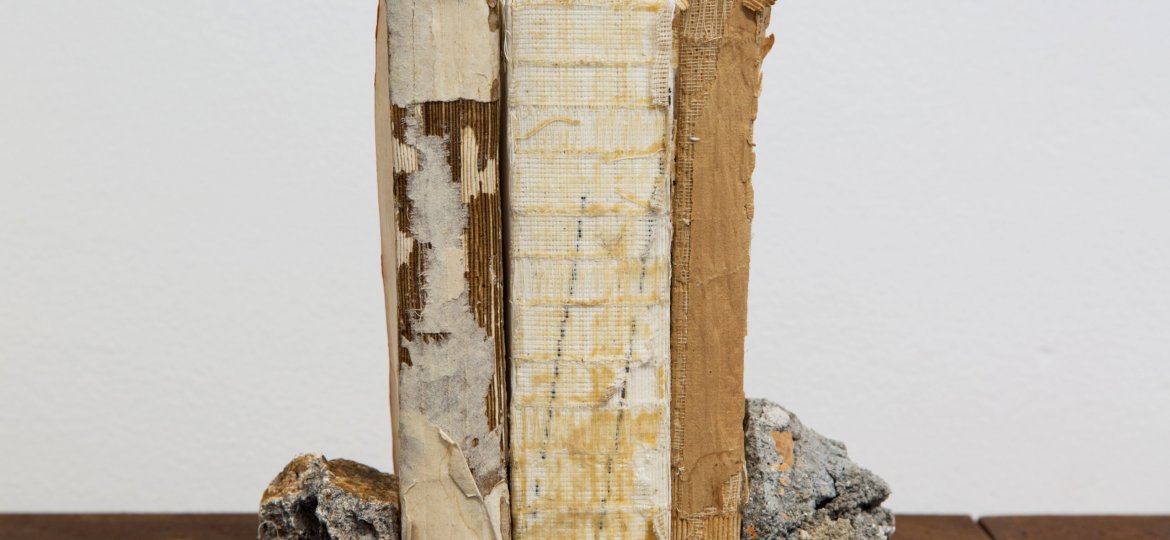 protolivro_registros denise adams 2