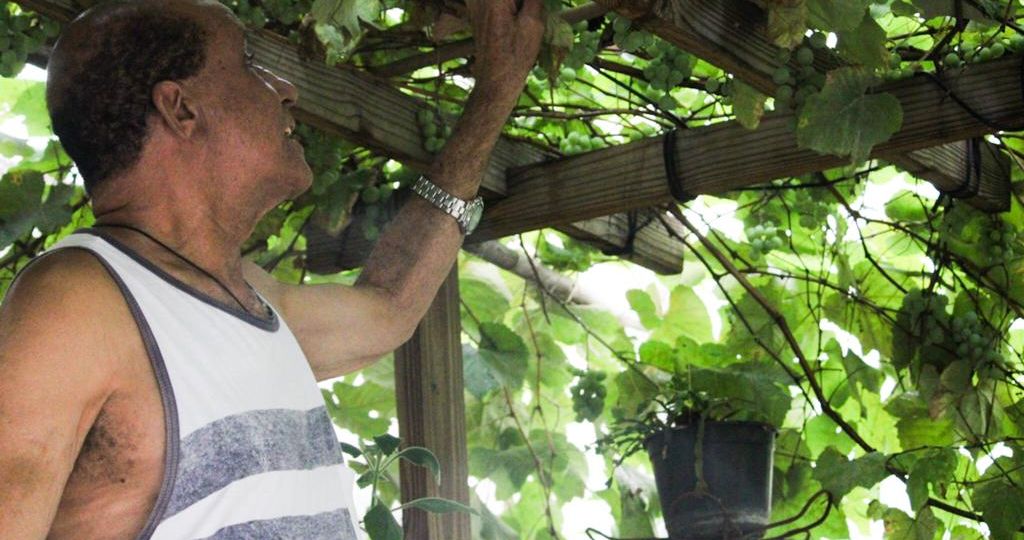 0519b8b4-4a7b-4bee-8bb2-89579fe429a3 (1)