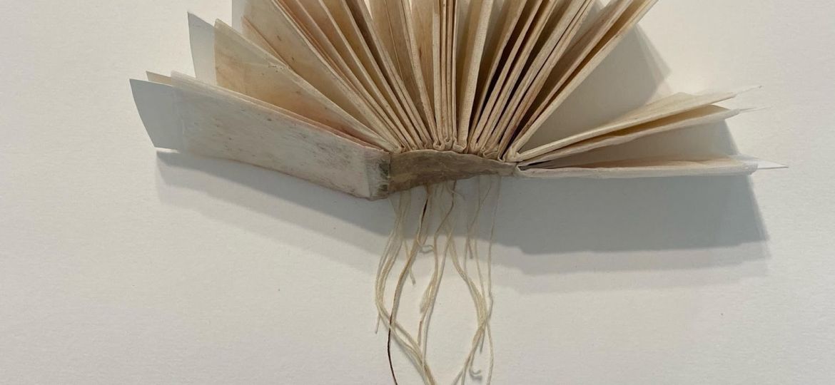 Livro de areia_Lilian Arbex