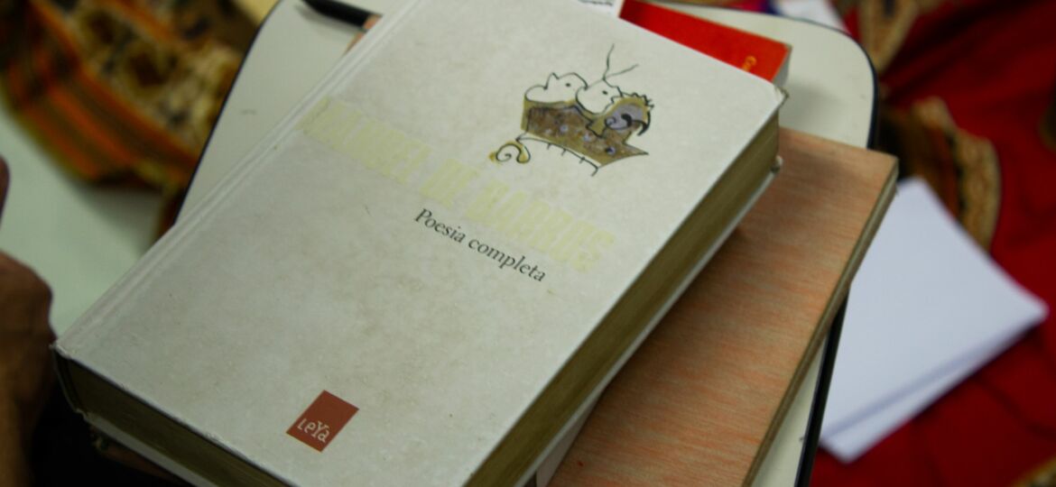 Livro Manoel de Barros