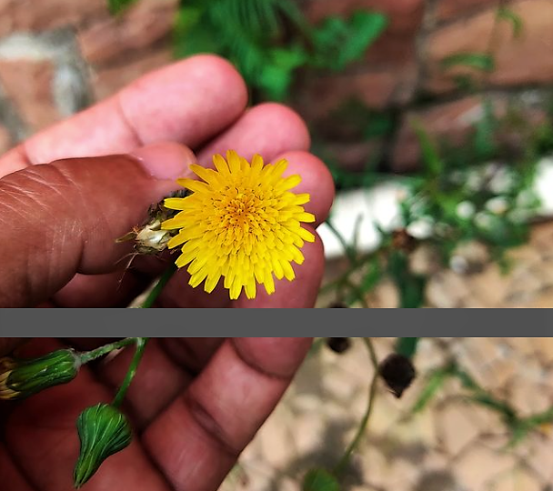 screencapture-instagram-p-CYzvfEYvGFD-2022-02-02-01_48_25