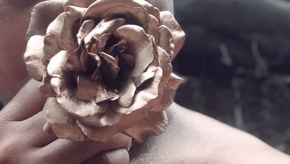 FB_IMG_1647281688478