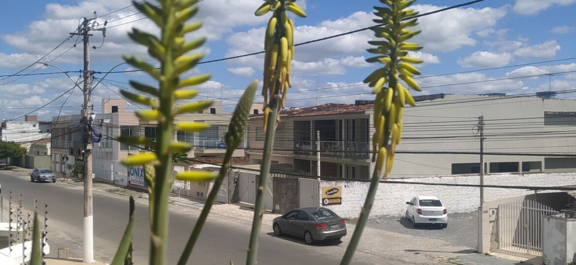 ananda_cabeçalho(1)